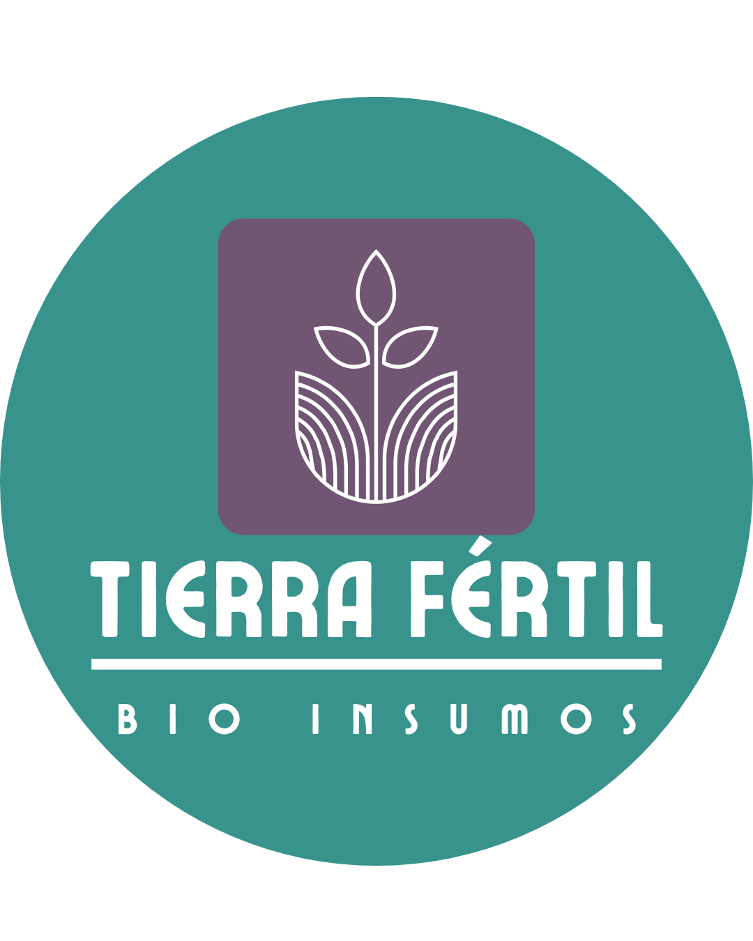 whatsapp-account-image