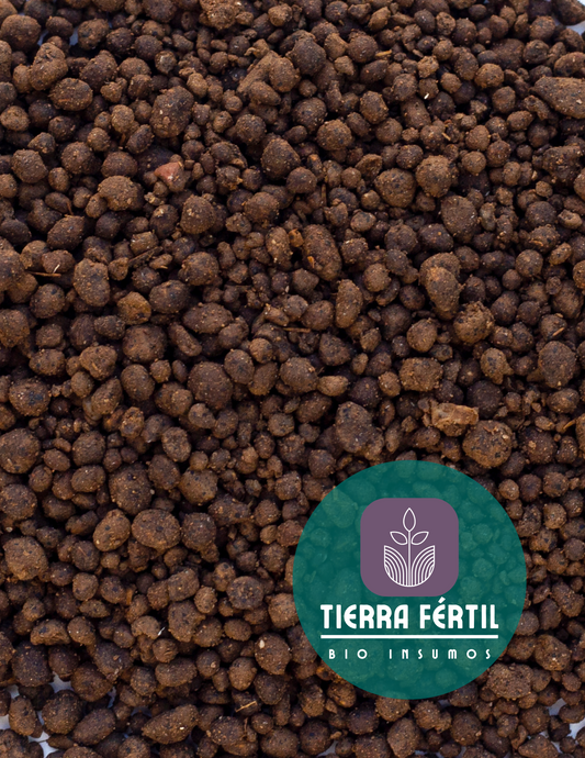 Guano de Pollo: El Secreto Orgánico para Potenciar tus Cultivos en Chile