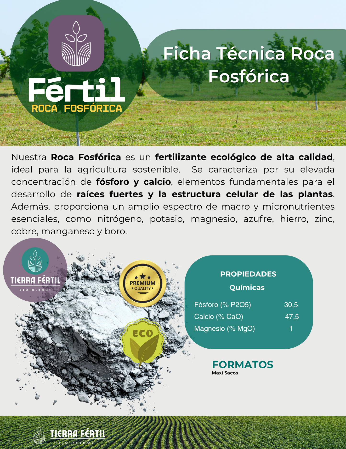 Roca Fosfórica