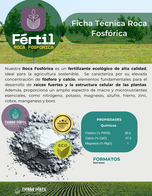 Roca Fosfórica