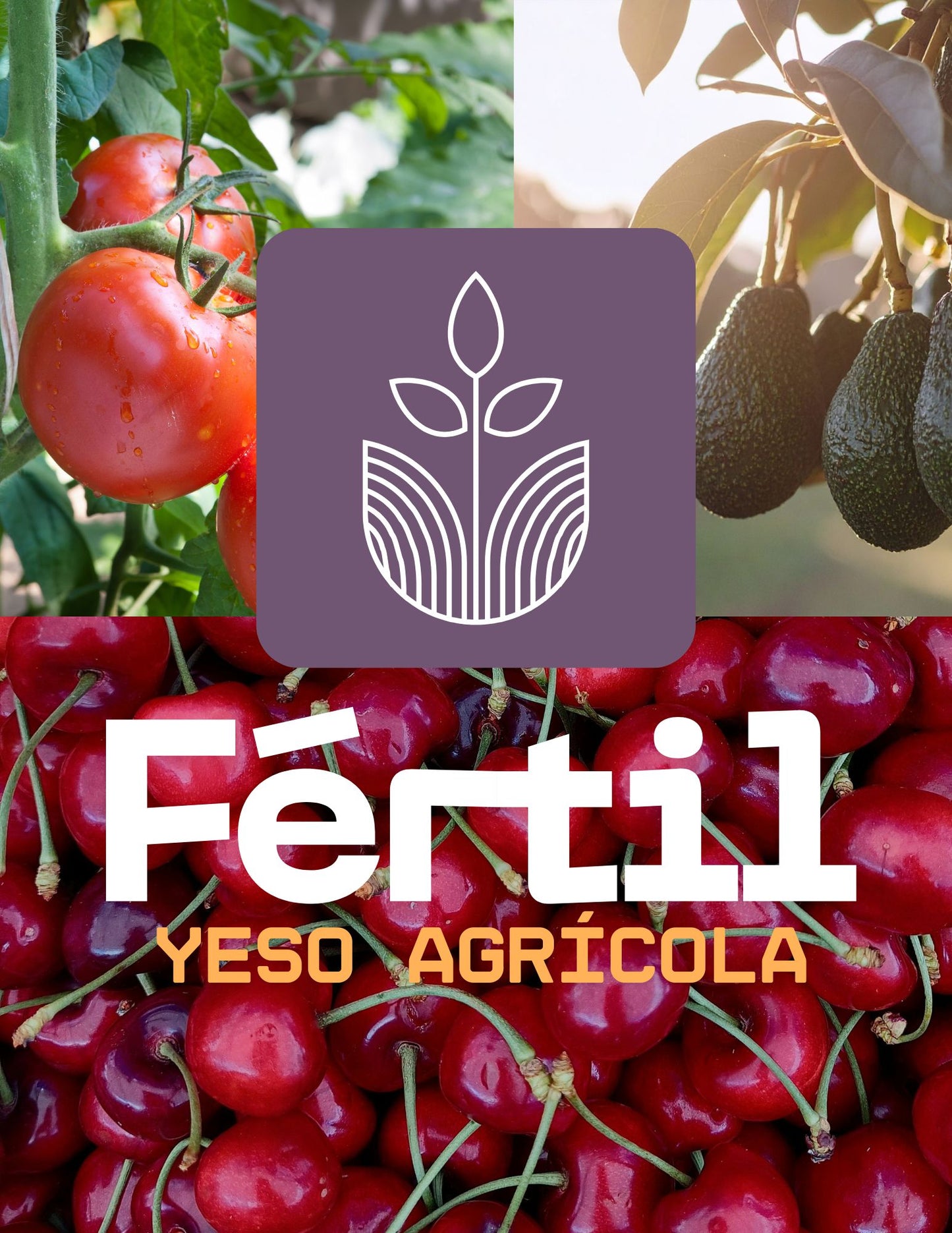 Yeso Agrícola