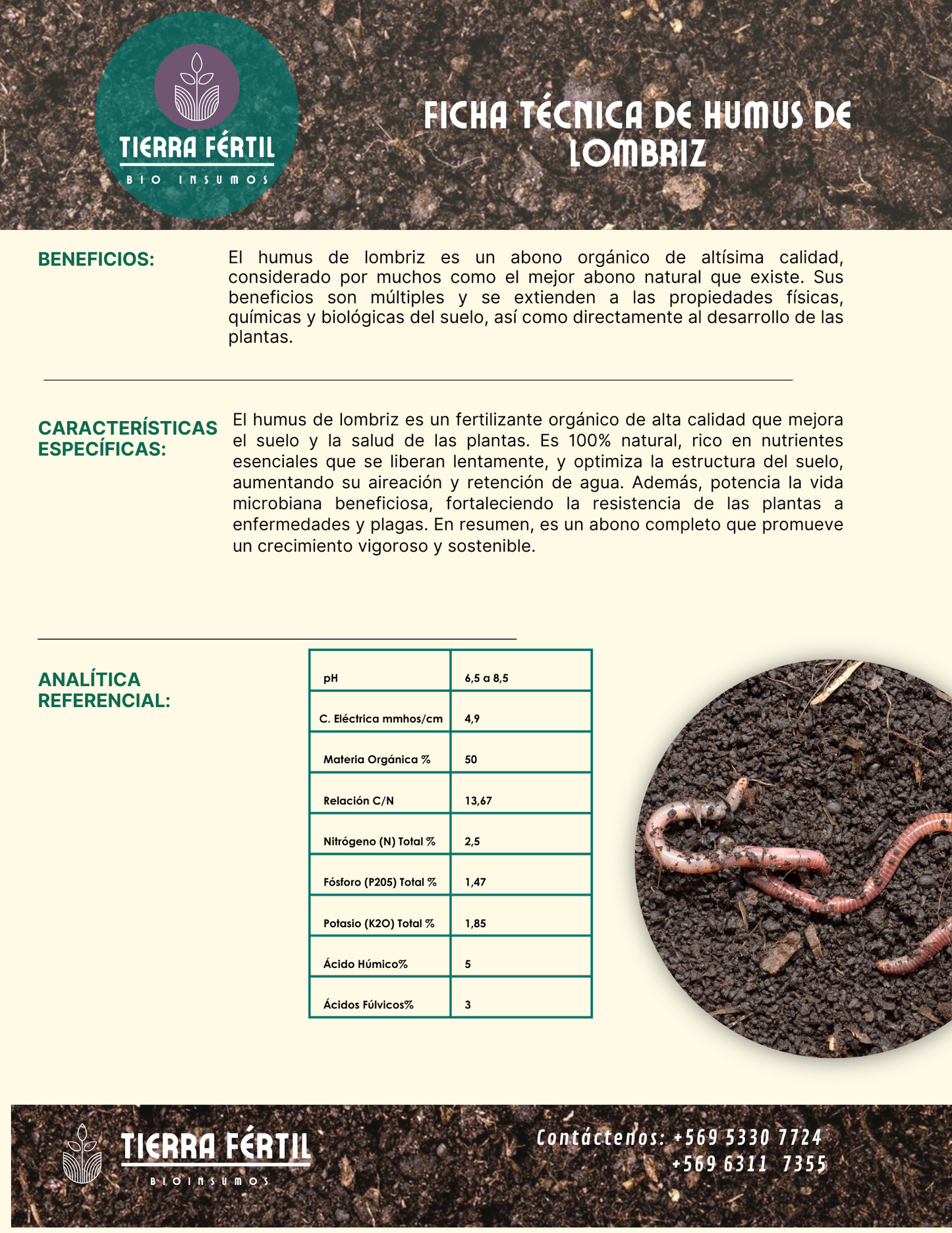 Humus de Lombriz