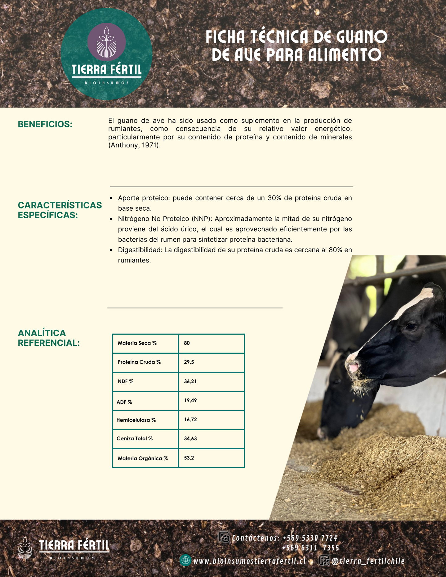 Guano de Ave para Alimento