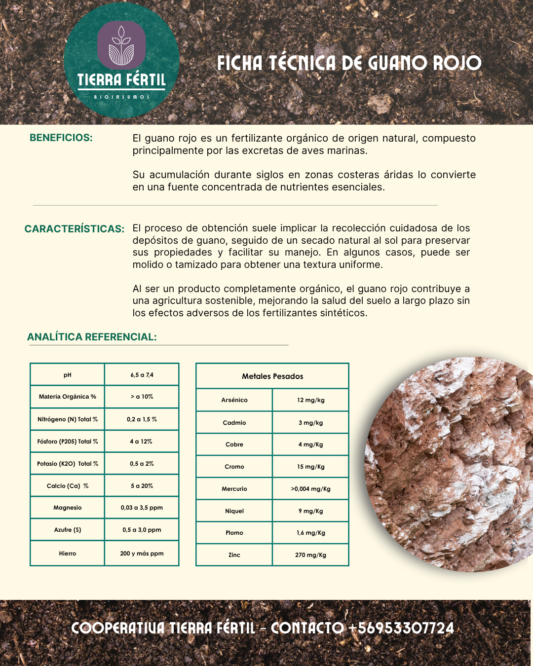 Guano Rojo Fosilizado