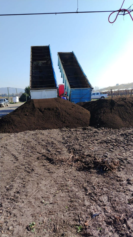 Compost Vegetal