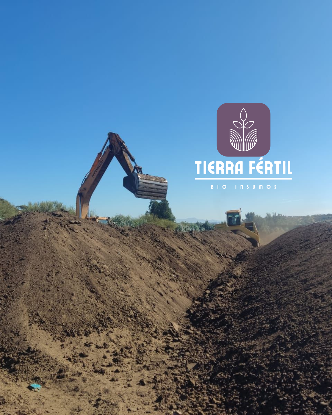 Guano Estabilizado de Pavo Orgánico