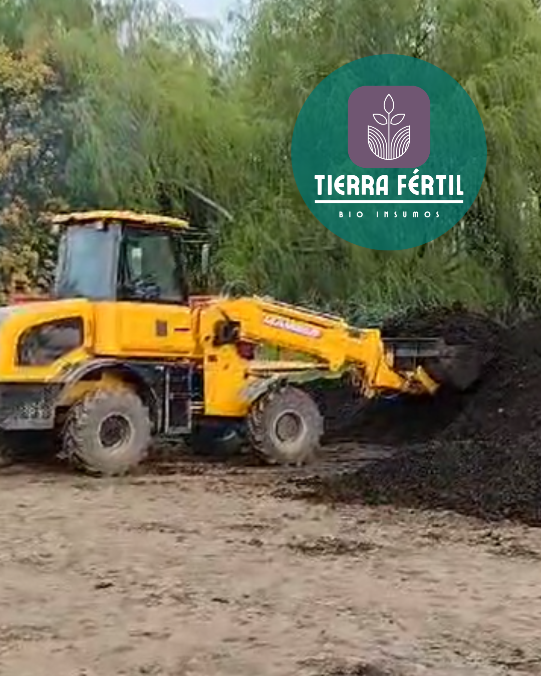 Arriendo Cargador Frontal