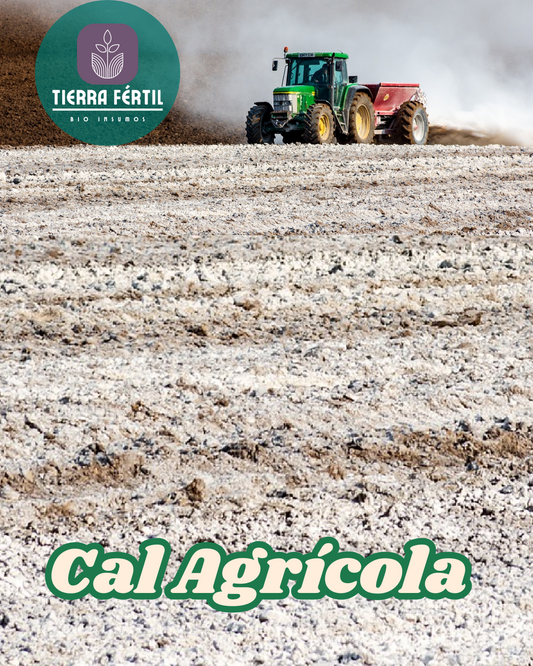 Cal Agrícola