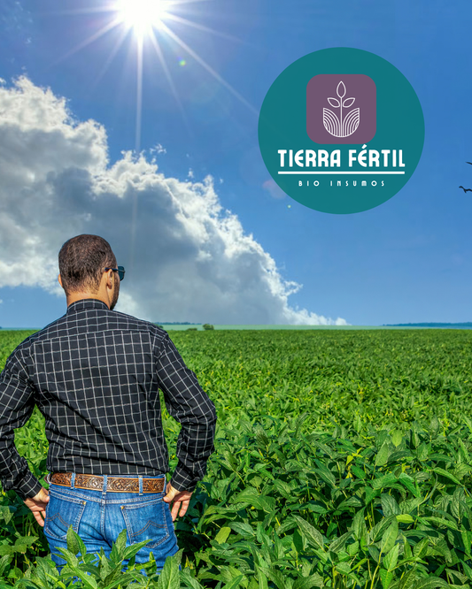 Asesorías Agrícolas
